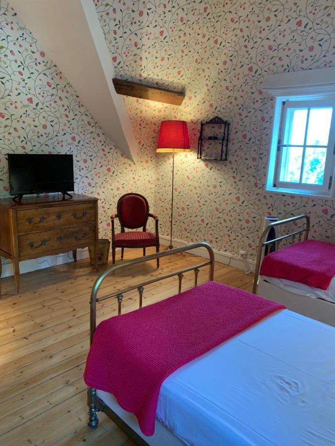 Le Donjon D'Anthon Bed & Breakfast Dış mekan fotoğraf